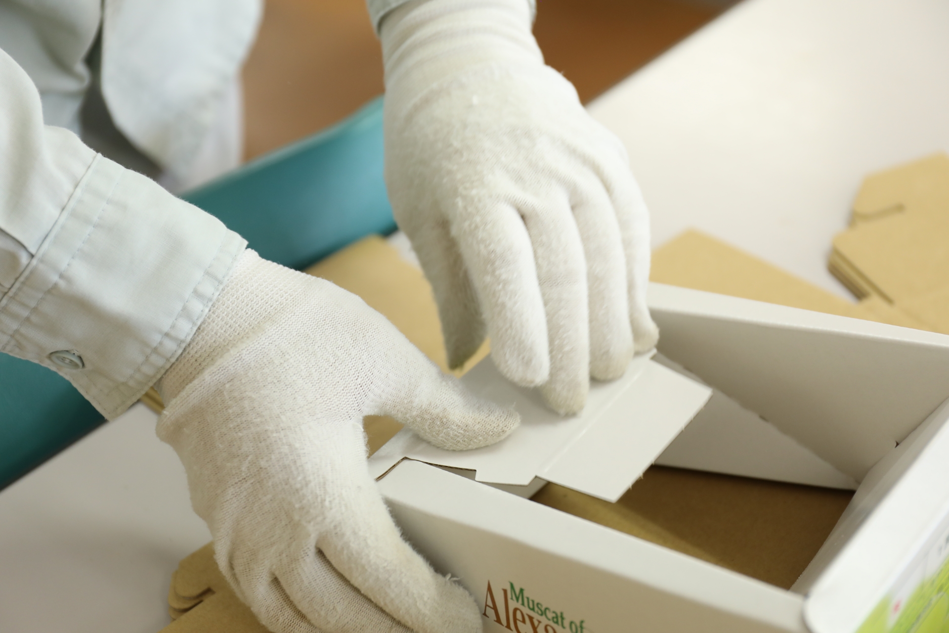 軽作業をアウトソーシングしたい！失敗しない外注方法を徹底解説